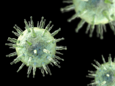 Investigación aporta nuevas pistas sobre por qué los virus no infectan de la misma manera