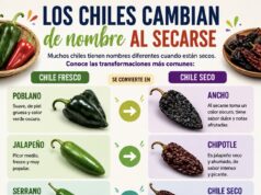 Los chiles cambian de nombre al secarse: una tradición culinaria con siglos de historia