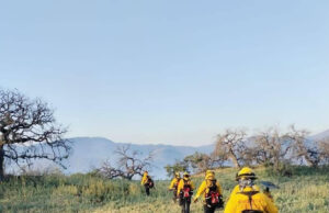 Gobierno de Sonora en trabajo coordinado con instituciones de los tres niveles de gobierno logra control total del incendio forestal “La Casita” en Arivechi