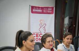 Gobierno de Sonora coordina proyecto editorial especializado en la protección de la primera infancia