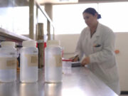 Mantiene Coesprisson vigilancia sanitaria en playas y albercas de Sonora