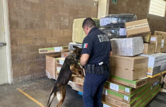 Unidad K-9 fortalece operativos de la Policía Estatal y la detención de objetivos prioritarios