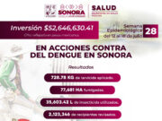 Llama Salud Sonora a eliminar criaderos para prevenir el dengue