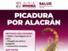 Llama Salud Sonora a prevenir mordeduras y picaduras de animales ponzoñosos durante la temporada de calor