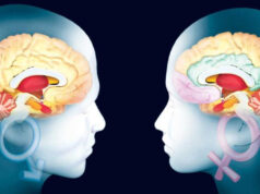 Detectan diferencias entre hombre y mujer en las proteínas en sangre en la enfermedad de Alzheimer