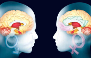 Detectan diferencias entre hombre y mujer en las proteínas en sangre en la enfermedad de Alzheimer