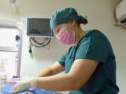 Anuncia Ayuntamiento de Hermosillo jornada de esterilización gratuita del 24 al 29 de agosto
