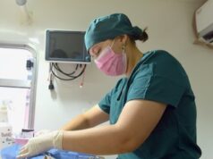 Anuncia Ayuntamiento de Hermosillo jornada de esterilización gratuita del 24 al 29 de agosto