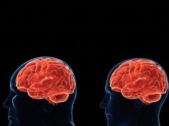 Un receptor del cerebro podría tener efectos distintos sobre el peso corporal