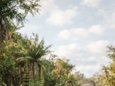 Detectan rastros de colágeno en un fósil de dinosaurio de 66 millones de años