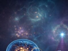 Científicos descubren células cerebrales que ayudan a mantener la motivación