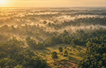 Tecnología láser revela cientos de antiguas construcciones ocultas en la Amazonía
