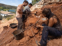 Descubren fósil de cráneo humano que revela pistas sobre la evolución