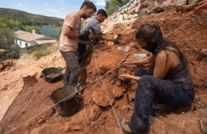 Descubren fósil de cráneo humano que revela pistas sobre la evolución