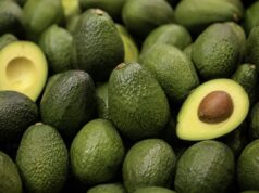 Nuevo golpe al aguacate mexicano: EE.UU. detiene temporalmente actividades vinculadas a exportaciones en Michoacán
