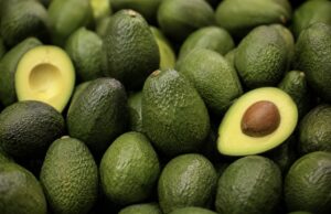 Nuevo golpe al aguacate mexicano: EE.UU. detiene temporalmente actividades vinculadas a exportaciones en Michoacán