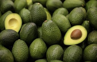 Nuevo golpe al aguacate mexicano: EE.UU. detiene temporalmente actividades vinculadas a exportaciones en Michoacán