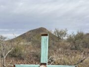 Aumentan las muertes de migrantes en Arizona: julio registra la cifra mensual más alta en dos años