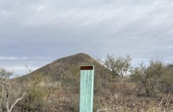 Aumentan las muertes de migrantes en Arizona: julio registra la cifra mensual más alta en dos años