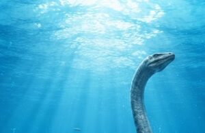 Fósil de 245 millones de años revela por primera vez el aparato digestivo de un reptil marino