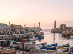 El aumento de pulpos en las costas británicas continúa y preocupa a los pescadores
