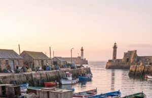 El aumento de pulpos en las costas británicas continúa y preocupa a los pescadores