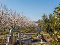 Andalucía impulsa un proyecto para convertir residuos agrícolas en bioinsumos para el campo