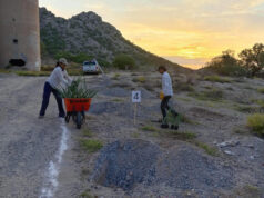 Gobierno de Sonora fortalece la reforestación y la participación comunitaria en el Bosque Urbano La Sauceda