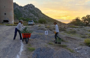Gobierno de Sonora fortalece la reforestación y la participación comunitaria en el Bosque Urbano La Sauceda