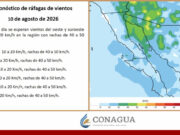 Informa Protección Civil que persistirán las tormentas vespertinas y nocturnas, así como las altas temperaturas