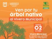 Invita Ayuntamiento de Hermosillo a adoptar un árbol nativo en el Vivero Municipal