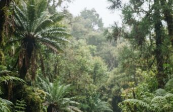 Un fósil de 240 millones de años podría cambiar lo que sabemos sobre el origen de los dinosaurios