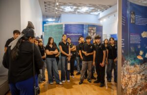 Supera exposición “TIBURONES” meta de 10 mil visitantes en sólo 19 días