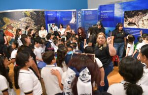 Supera exposición “TIBURONES” expectativas
