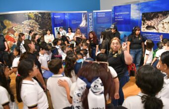 Supera exposición “TIBURONES” expectativas