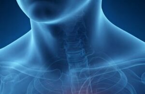 Una inteligencia artificial analiza electrocardiogramas para detectar señales de enfermedades cardíacas