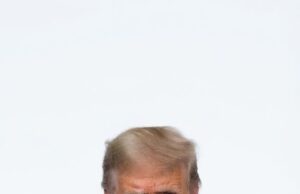 Trump reúne a líderes tecnológicos para discutir el futuro de la inteligencia artificial