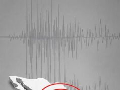 Registran temblor de magnitud 4.6 en las cercanías de Pijijiapan
