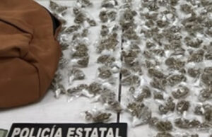 Asegura Policía Estatal y Defensa más de 300 envoltorios con narcótico en Nogales