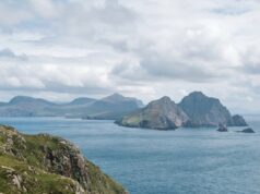 Cinco vacas llegaron a una isla aislada y terminaron formando una enorme población: el ADN reveló su secreto
