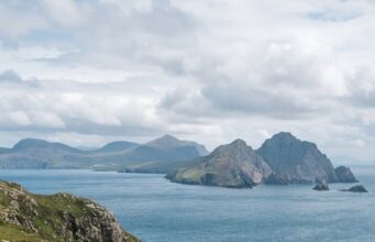 Cinco vacas llegaron a una isla aislada y terminaron formando una enorme población: el ADN reveló su secreto