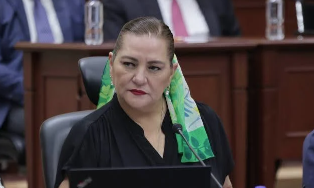 Guadalupe Taddei Zavala - Foto Central Electoral- INE