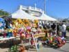 Reitera llamado Ayuntamiento de Hermosillo a vendedores y emprendedores a tramitar permisos para Día de Muertos