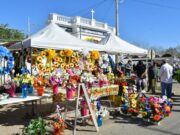 Reitera llamado Ayuntamiento de Hermosillo a vendedores y emprendedores a tramitar permisos para Día de Muertos
