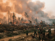 Humo de incendios en Indonesia deteriora la calidad del aire en Singapur y enciende las alertas sanitarias
