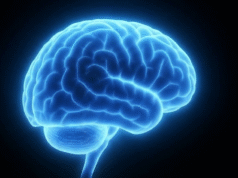 La luz se convierte en una herramienta para investigar el cerebro