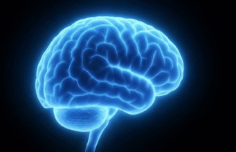 La luz se convierte en una herramienta para investigar el cerebro