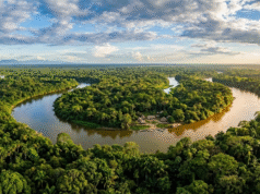 Friajes fuera de temporada ponen en riesgo la biodiversidad y las comunidades de la Amazonía peruana