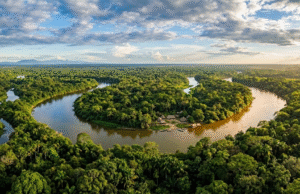 Friajes fuera de temporada ponen en riesgo la biodiversidad y las comunidades de la Amazonía peruana