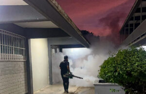 Refuerza Secretaría de Salud acciones contra el dengue tras paso de Polo